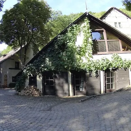 Tatil Evi Remise Einer Historischen Wassermuehle Im Hunsrueck