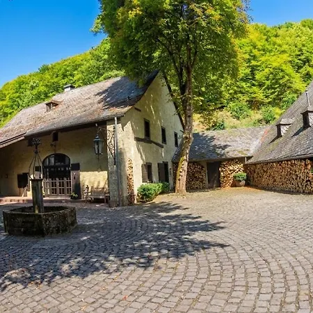 Remise Einer Historischen Wassermuehle Im Hunsrueck Tatil Evi *