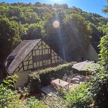 Remise Einer Historischen Wassermuehle Im Hunsrueck
