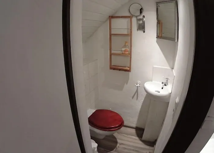 Remise Einer Historischen Wassermuehle Im Hunsrueck *