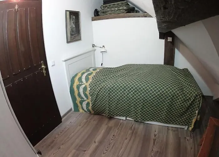 Remise Einer Historischen Wassermuehle Im Hunsrueck Σπίτι διακοπών