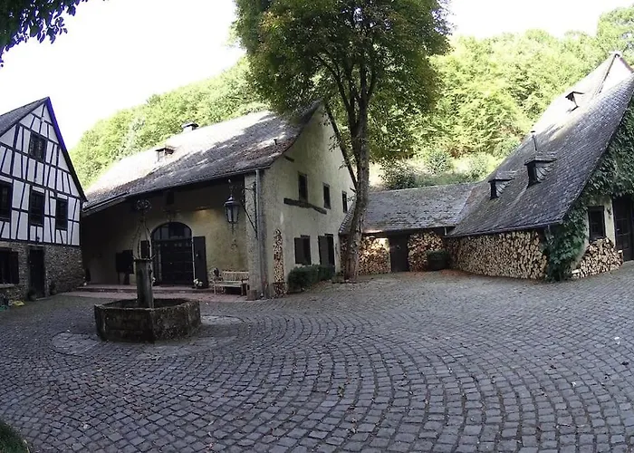 Remise Einer Historischen Wassermuehle Im Hunsrueck Σπίτι διακοπών